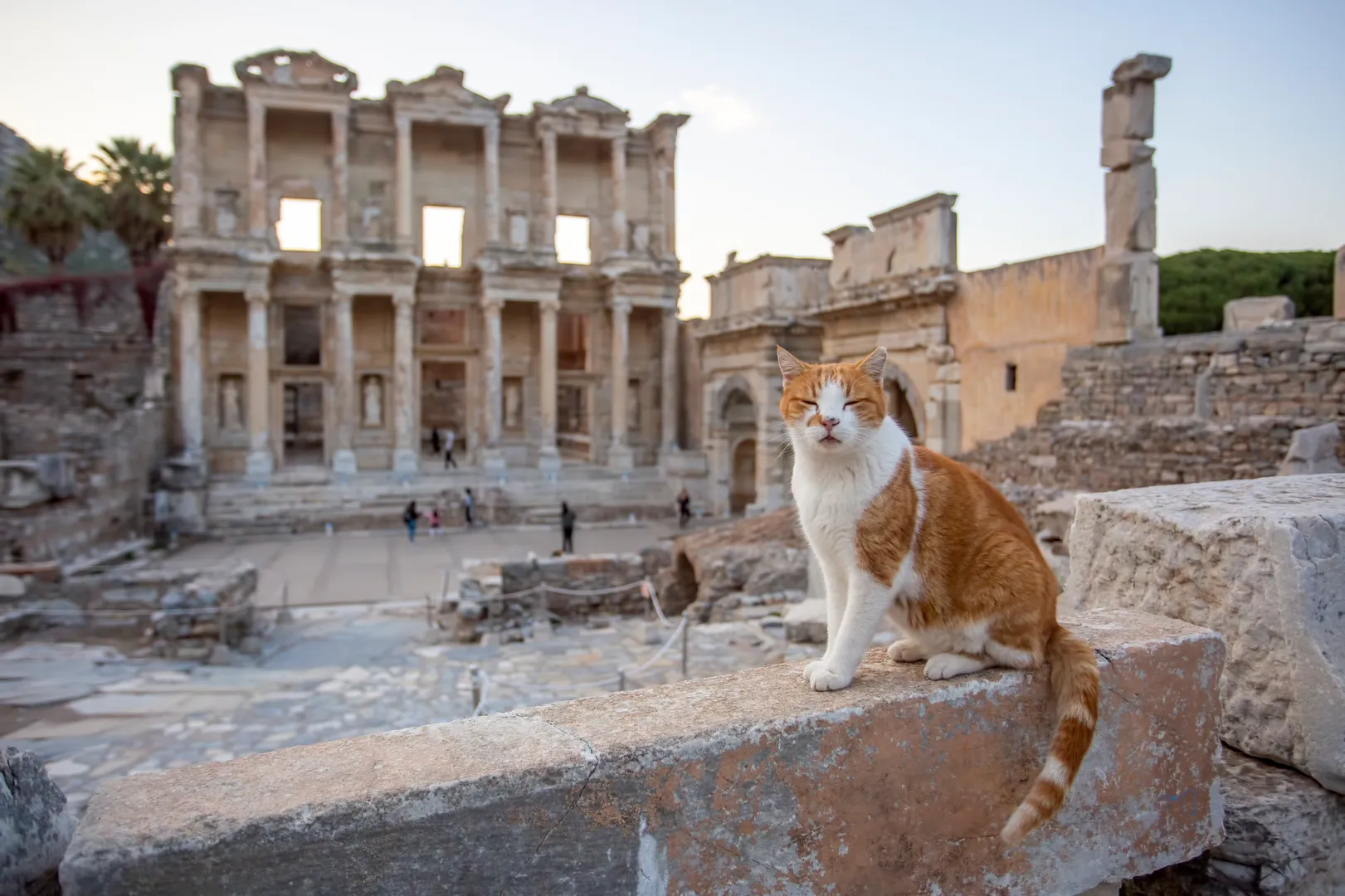 ¿Por qué viajar a Turquía?, ciudades antiguas, columnas turcas, griego, romano, historia, turismo, unesco patrimonios ¿Por qué viajar a Turquía?, ciudades antiguas, columnas turcas, griego, romano, historia, turismo, unesco patrimonios