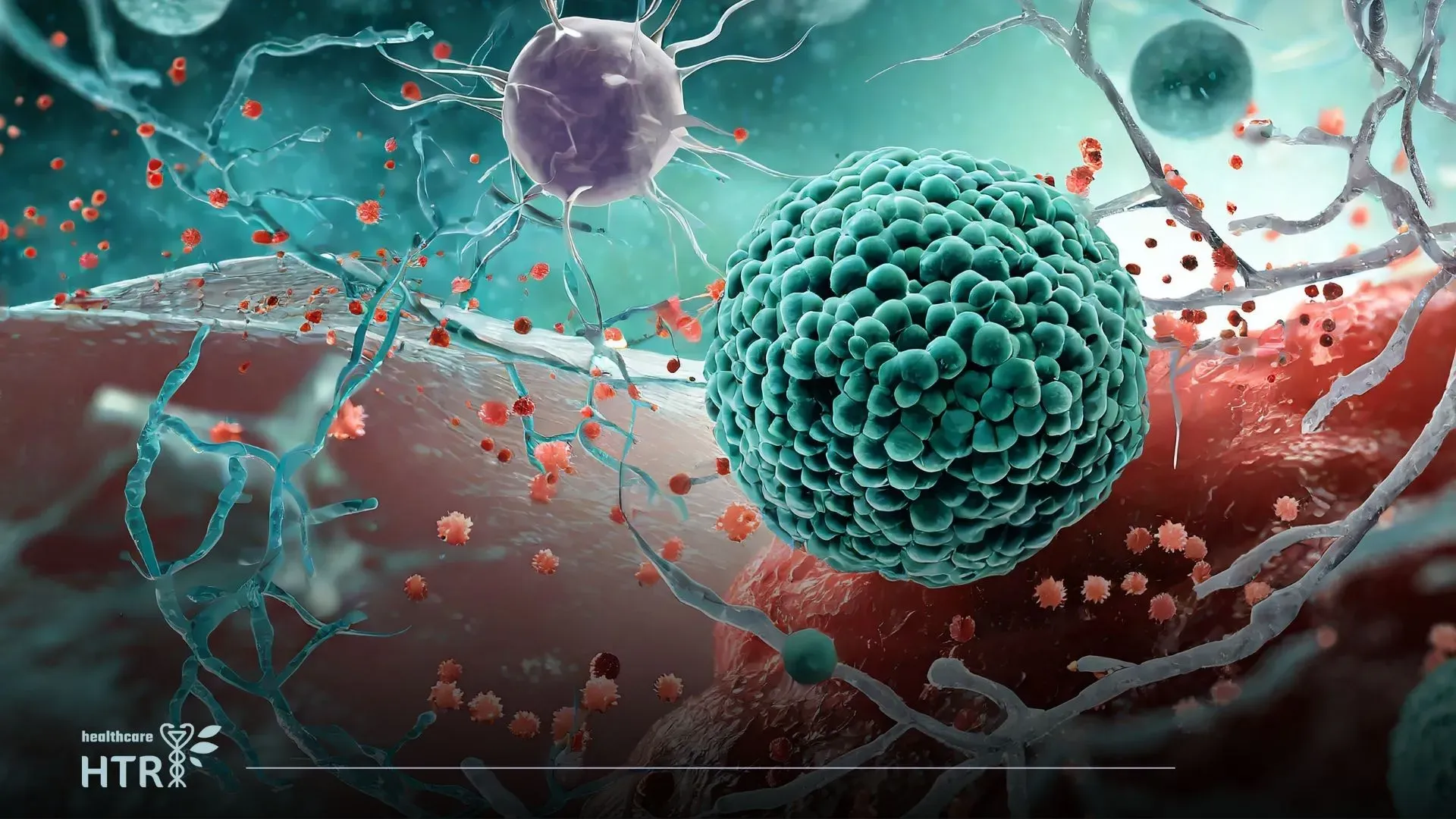 Oncology